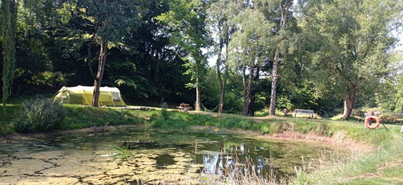 Willow View - Nearly-wild, woodland pitch