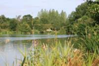 Sunbird Safari Bell Tent