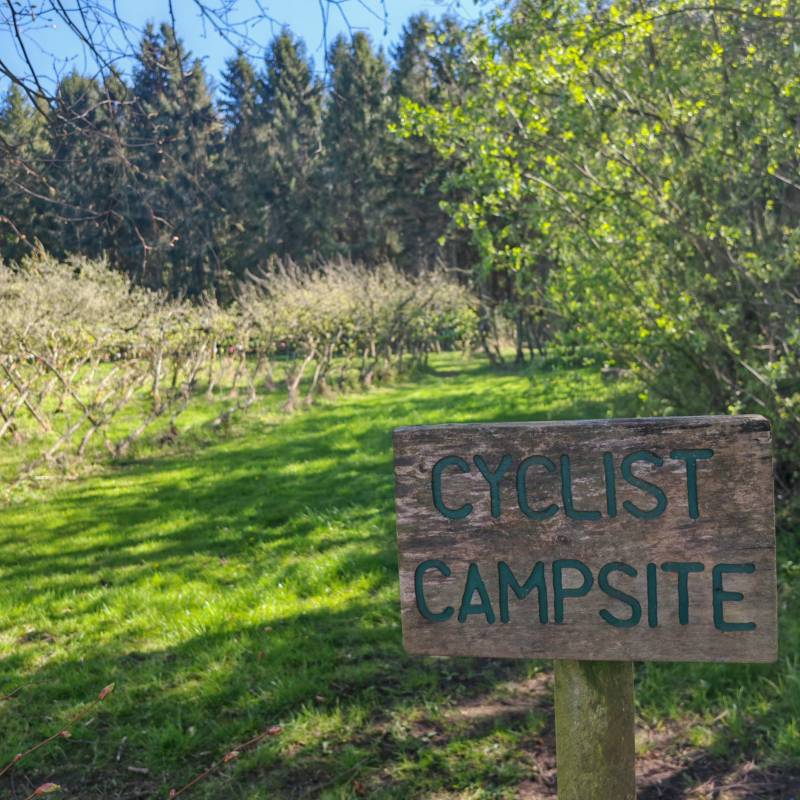 Cyclist Campsite 5
