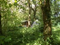 BYO Camping