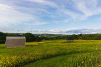 Tansy - Ensuite Grass Pitch