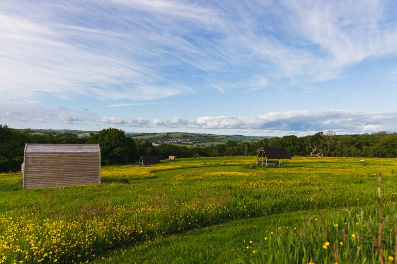 Tansy - Ensuite Grass Pitch