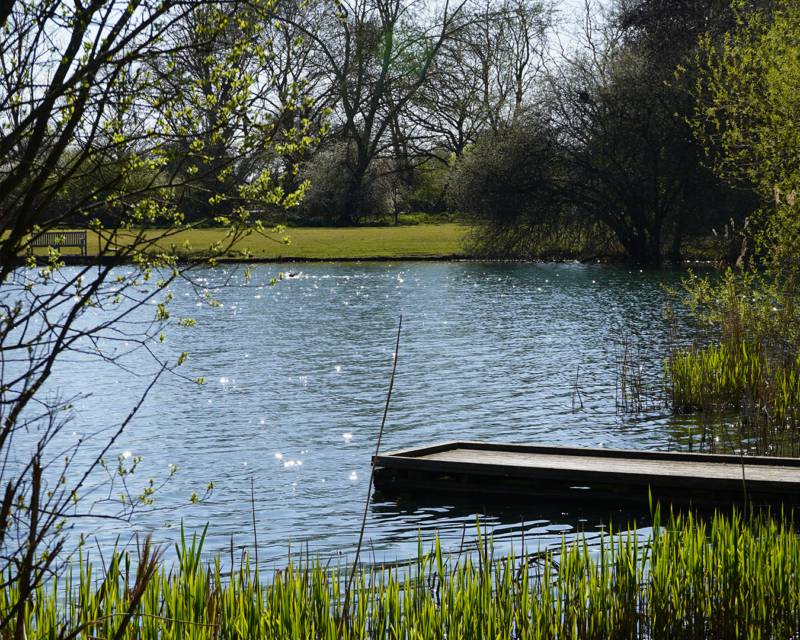 Birdsong Safari Tent