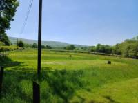 HERCULES (Tent Pitch)