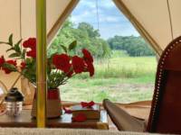 Luxury Wild Glamping Experience (Penelope)