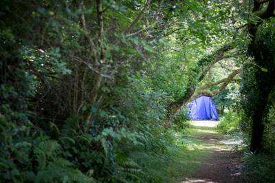 Ashacre - Wild Camping - Private Pitch