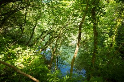 Lake View 1 - Wild Camping - Private Pitch