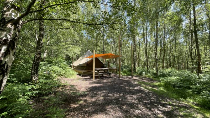 'Wild Glamping' Tent