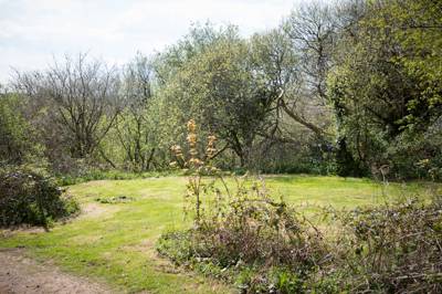 Dykes - Wild Camping - Private Pitch