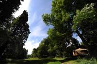 Seren Yurt