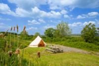 Frisky - Ensuite Campervan or Tent Pitch