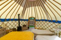 Barn Owl Yurt