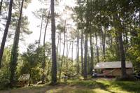 Sweet Wood and Canvas Tent