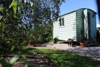 Shepherd's hut
