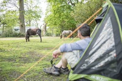 Ashurst Campsite Lyndhurst Road, Ashurst, Hampshire SO40 7AR