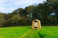 Carnival - Ensuite Grass Pitch