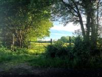 Grass pitch