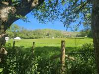 5m Bell Tent 'Butterfly'