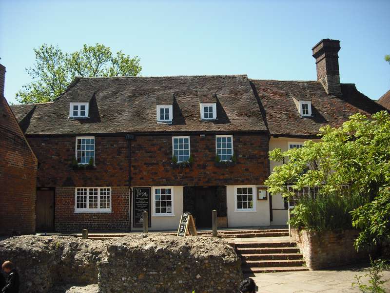 The Parrot