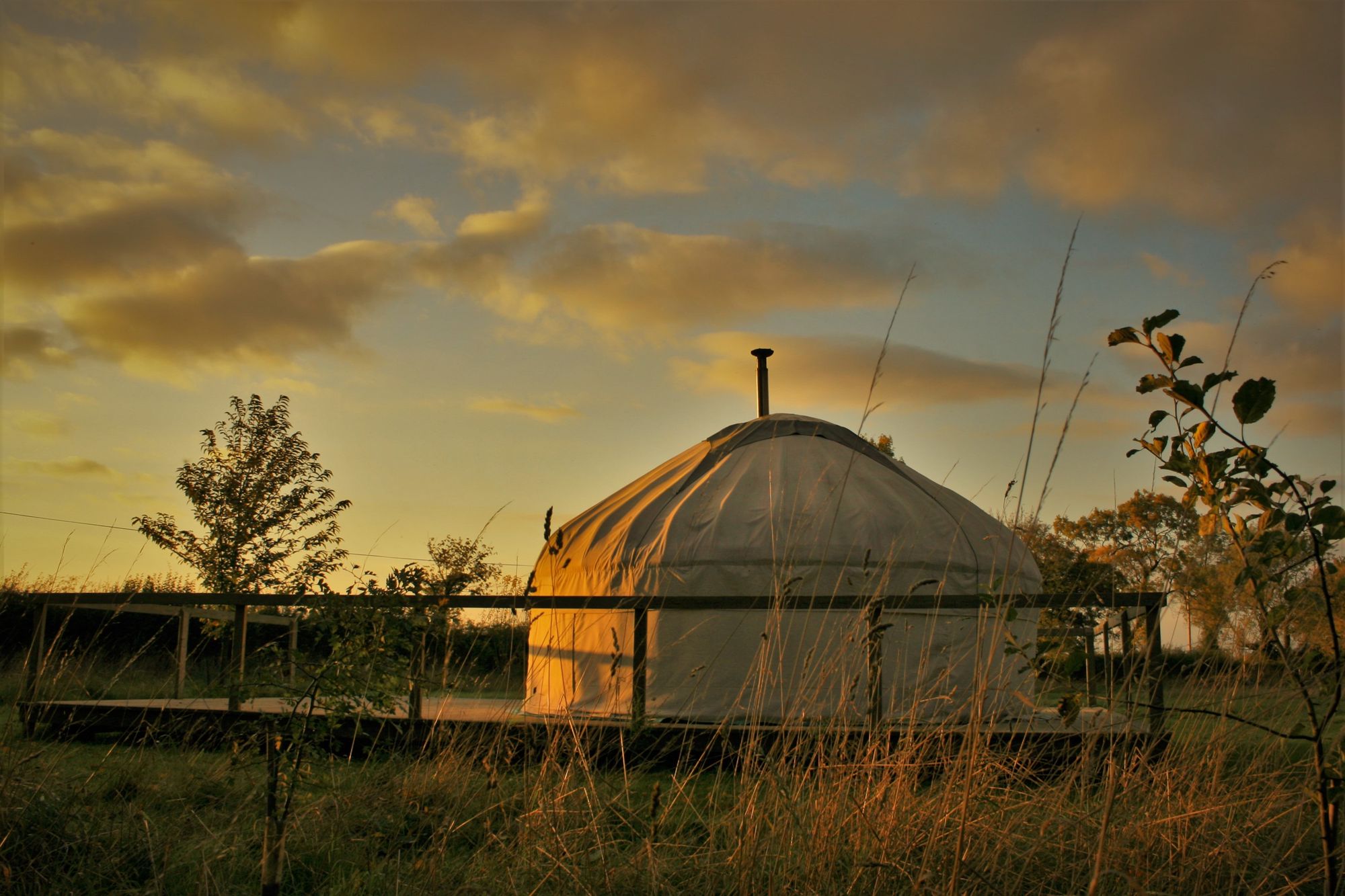 Glamping in Halesworth holidays at Cool Places