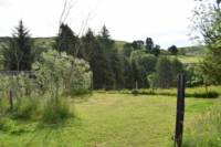 Pitch 9 - Tents Only! ⛺️