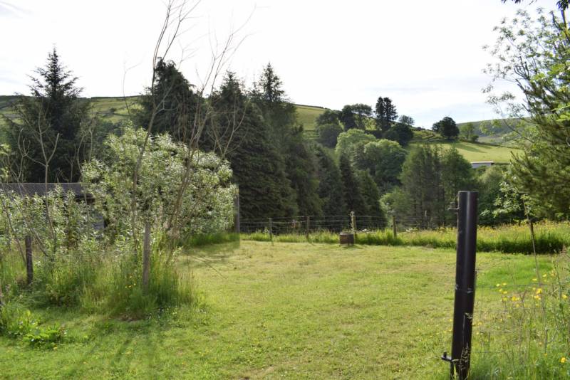 Pitch 9 - Tents Only! ⛺️