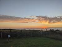 Buzzard Grass Pitch (electric)