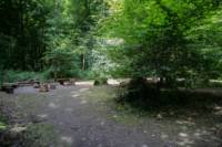 The Encampment - Sycamore