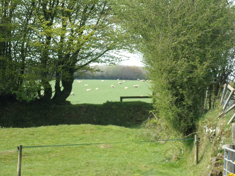 The Drovers Hut and hot tub