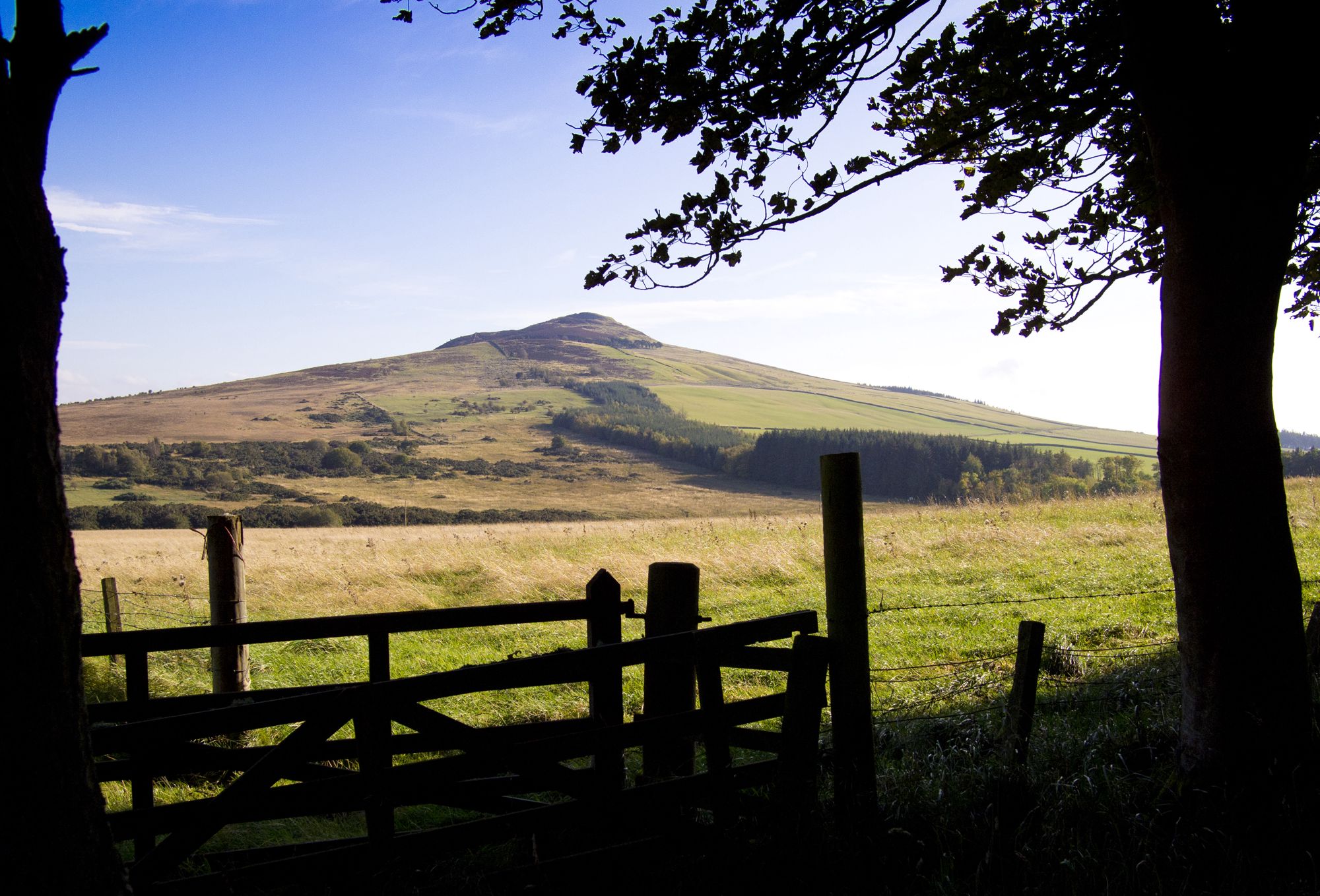 Ruberslaw Wild Woods Camping Scottish Borders