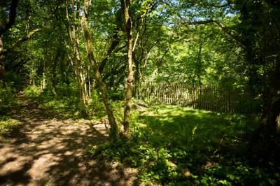 Lake View 1 - Wild Camping - Private Pitch