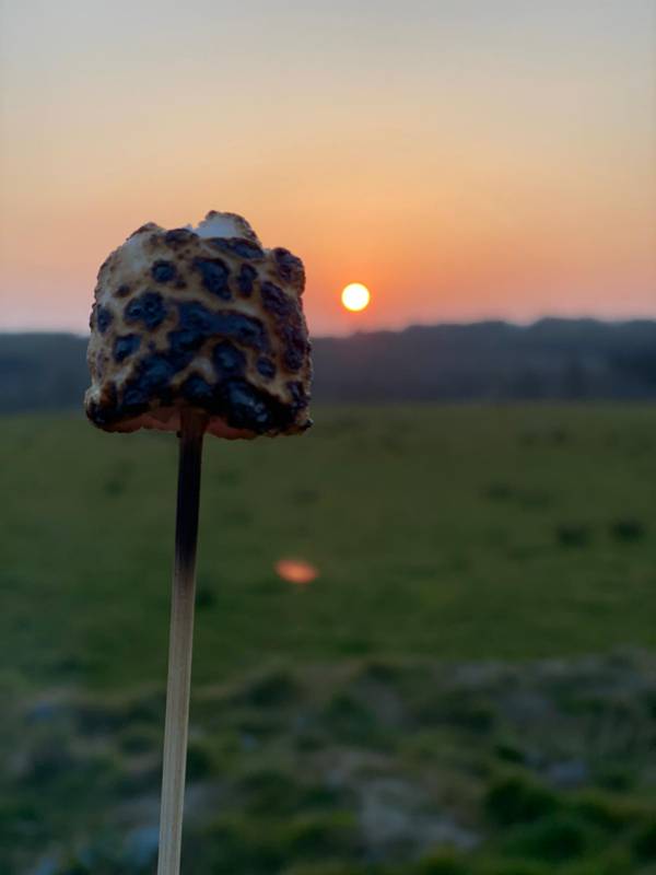 Camping Pitch for 1 Tent