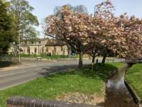 Glamping cabin in rural Leicestershire