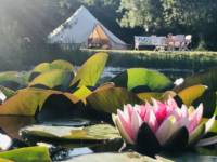 Bell tent tucked away in rural Cornwall