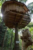 "Hibou" Owl Tree House