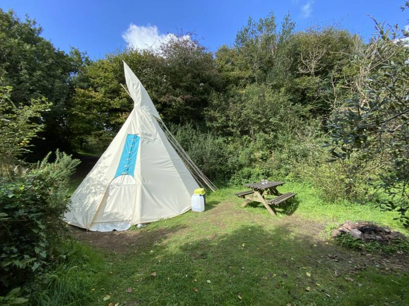 Willows - Medium Tipi - Private Site