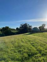 Whole site exclusive hire