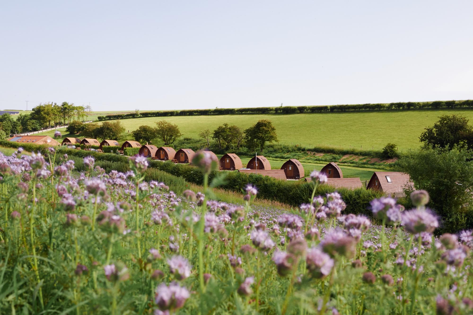 Tip & Wigwam holidays in the UK and Europe