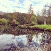 Orchard Bell tent