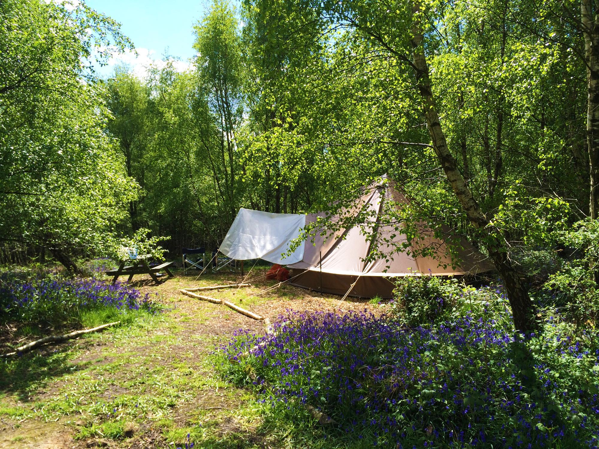 Pegs and Pitches Campsites