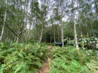 Hammock Pitch (Not suitable for tents)