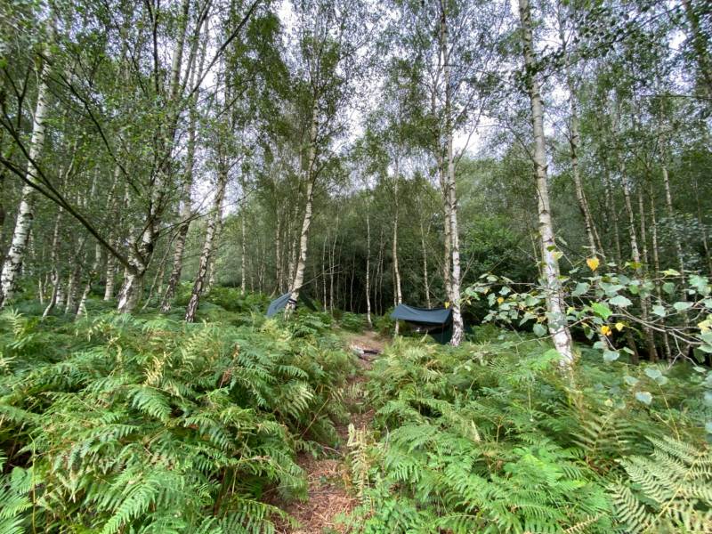 Hammock Pitch (Not suitable for tents)