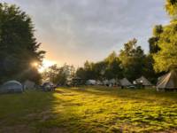 Woodland Meadow Large Pitch