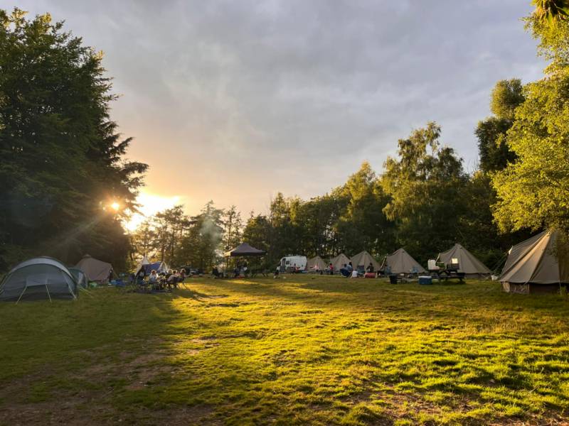 Double Woodland Meadow Pitch