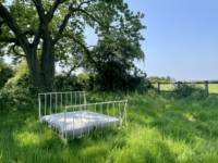 5m Bell tent with outdoor bed under a tree