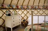 Yurt Oak
