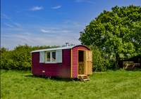 Shepherds' Hut - Poppy