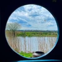 The Bird Hide