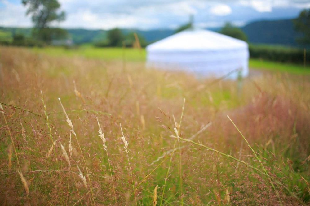 Glamping in Conwy