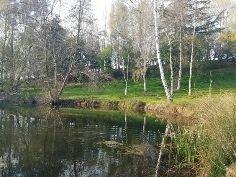 Tilia Bell Tent   (Dog Friendly)